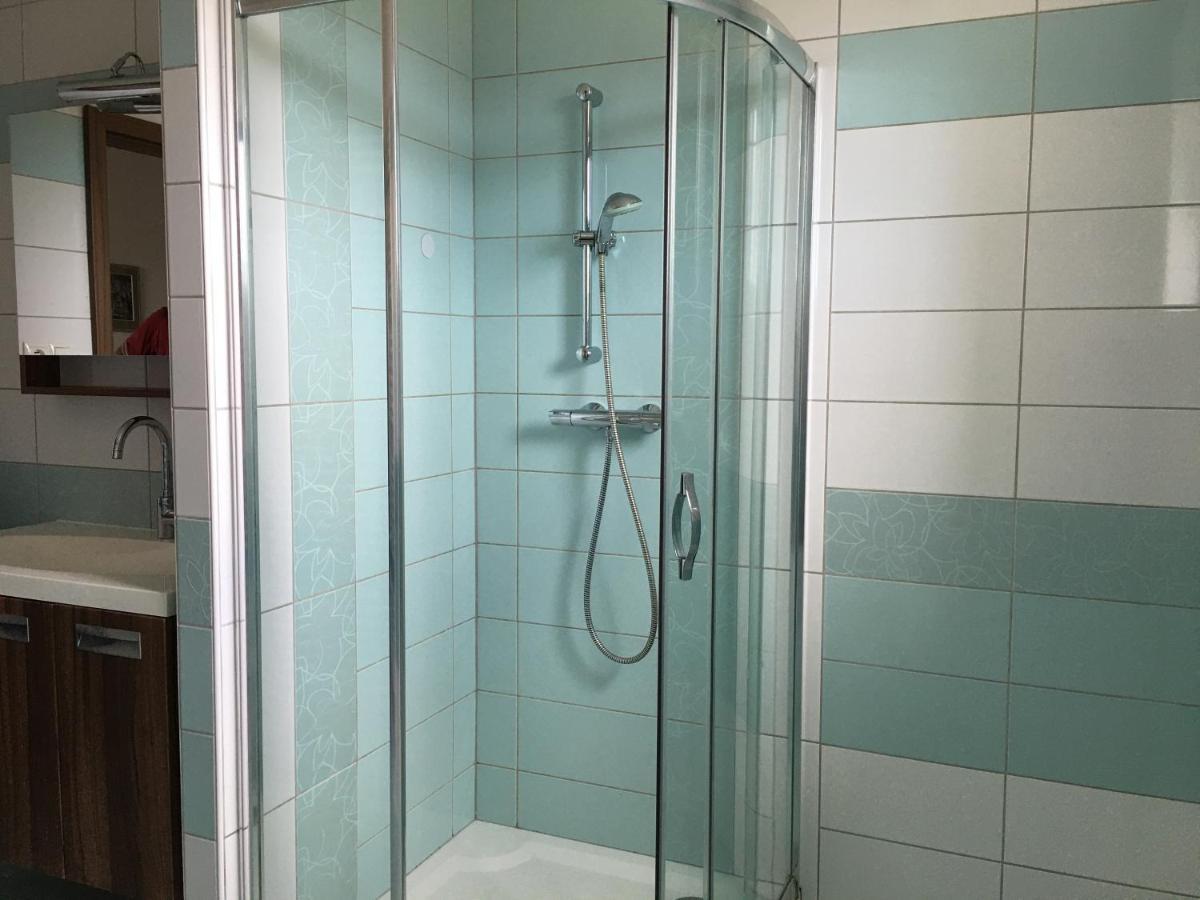 Apartman Krasna Vyhlidka Dolni Benesov Buitenkant foto