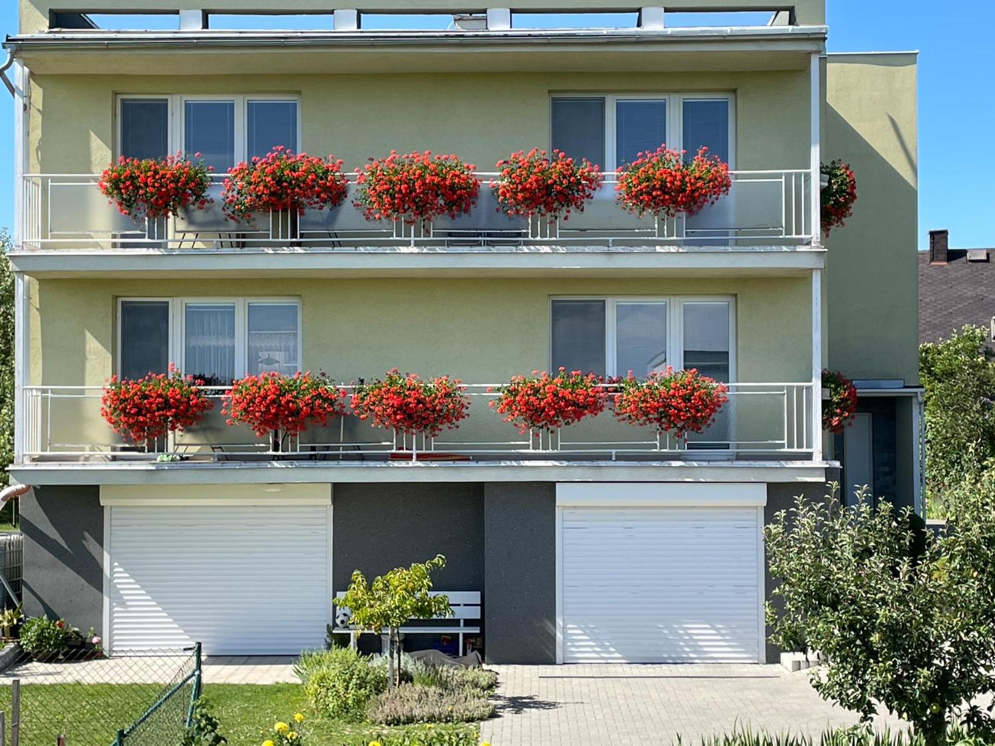 Apartman Krasna Vyhlidka Dolni Benesov Buitenkant foto